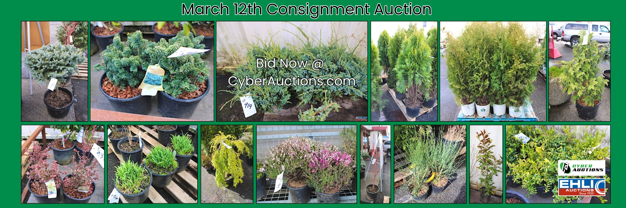 March 12th Consignment Auction